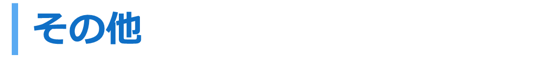 その他